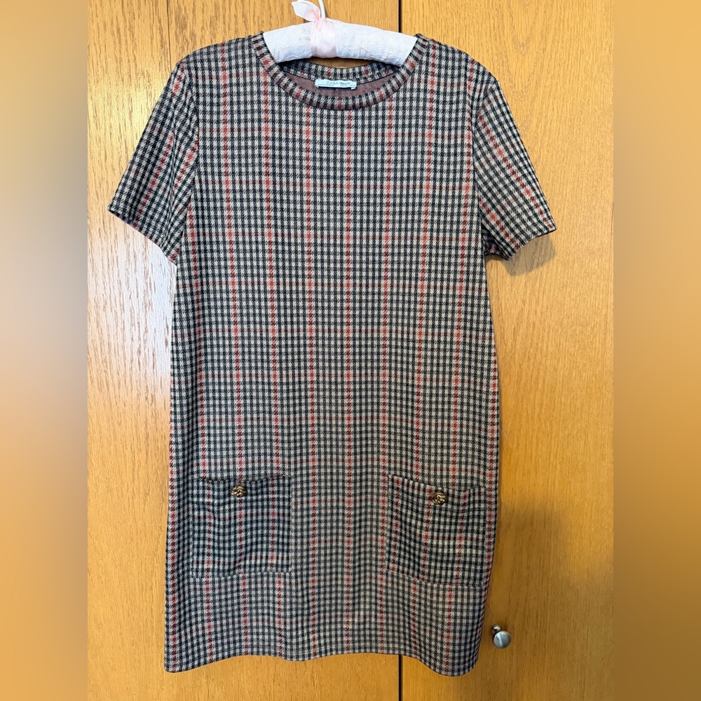 Zara Brown and Red Plaid Dress